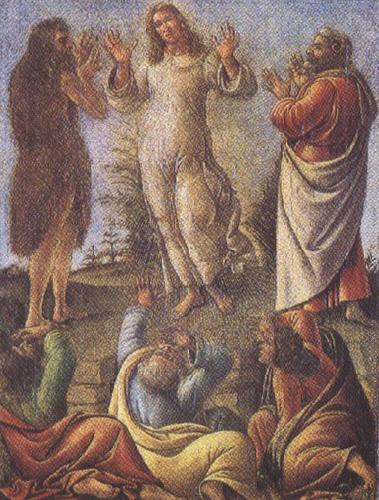 Sandro Botticelli Transfiguration,wtih St jerome and St Augustine (mk36)